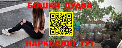 молекула духа Анжеро-Судженск