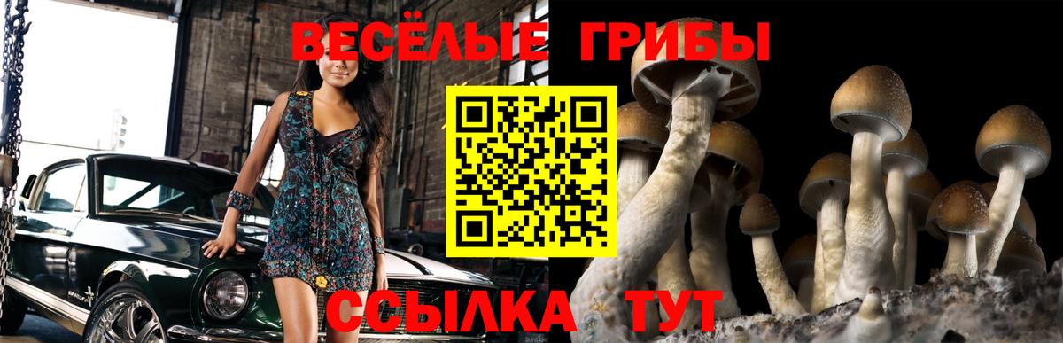 Псилоцибиновые грибы мицелий  Псилоцибиновые грибы мухоморы  Воткинск  Вход с VPN 